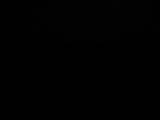 04 : 46