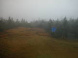08 : 50