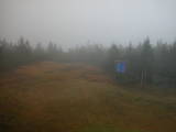 09 : 46