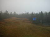 13 : 50