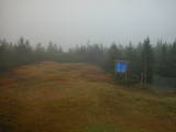 14 : 50