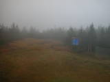 16 : 10