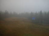 16 : 14