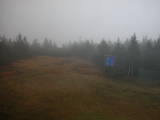 16 : 26