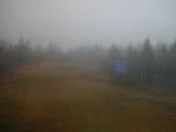 16 : 34
