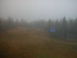 16 : 50