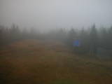 17 : 10