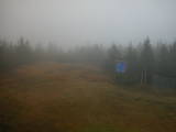 17 : 18