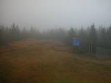 17 : 22