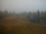 17 : 34