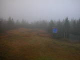 17 : 42