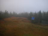 17 : 46