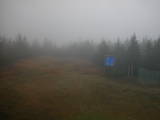 17 : 50