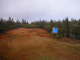 18 : 38