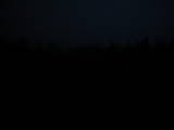 19 : 02