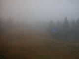 08 : 42