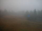 08 : 50
