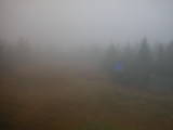 09 : 46
