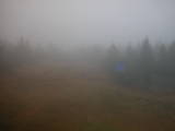 13 : 30