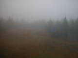 13 : 42