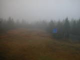13 : 46