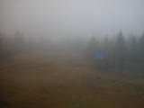 13 : 50