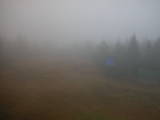 13 : 54