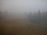14 : 10