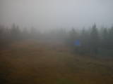 14 : 14