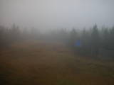 14 : 46