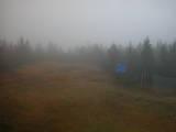 14 : 50