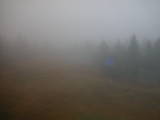 14 : 54