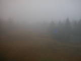 15 : 10