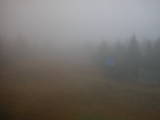 15 : 14