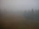 15 : 30