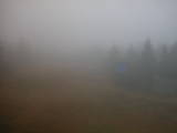 15 : 34