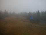 15 : 46