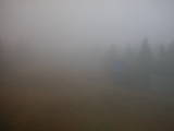 15 : 54