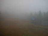 15 : 58