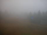 16 : 02