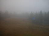 16 : 06