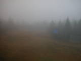 16 : 14