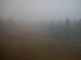 16 : 26