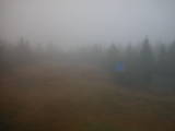16 : 30