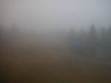 16 : 34