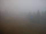 16 : 42