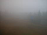 16 : 50