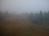 17 : 10