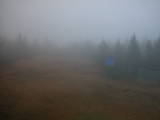 17 : 14