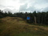 13 : 50